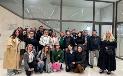 DIS-Abilities: Final Conference in Lyon